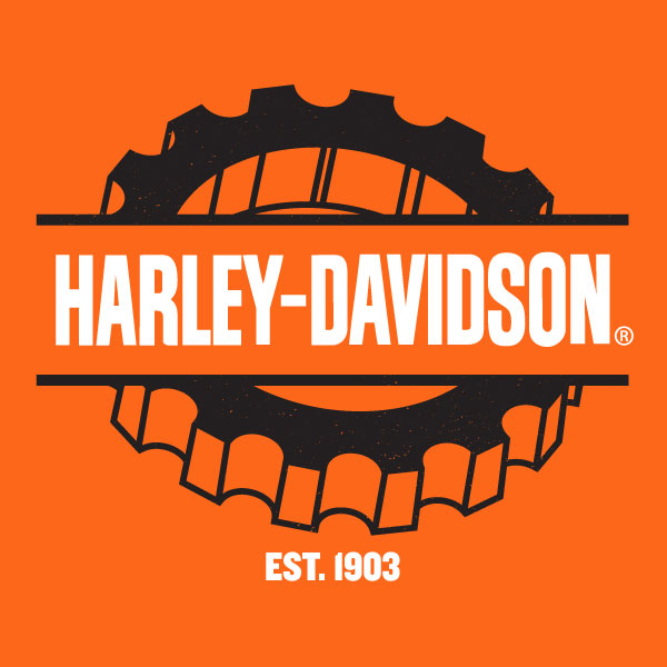 Full Color Dimensional Gear with Harley-Davidson across the center
